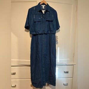 Vintage Poems by Esteem Embroidered Denim Button Down Dress